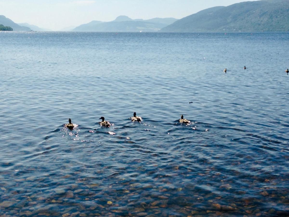 因弗内斯1 Loch Ness Heights公寓 外观 照片